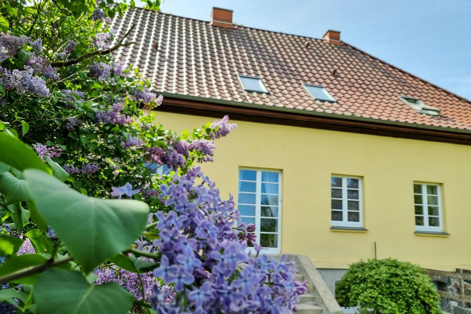 Gutshaus Neu Necheln Daire Bruel Dış mekan fotoğraf